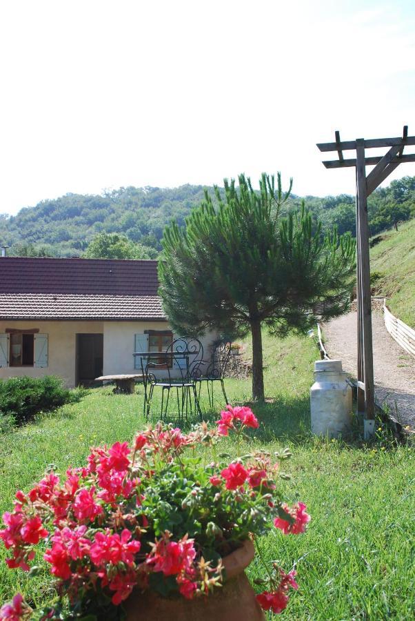 Chambres D'Hotes Soleil Et Cacao Siccieu-Saint-Julien-et-Carisieu エクステリア 写真