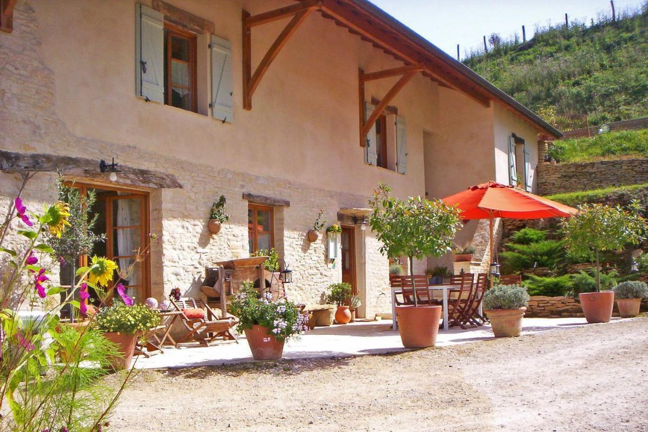 Chambres D'Hotes Soleil Et Cacao Siccieu-Saint-Julien-et-Carisieu エクステリア 写真